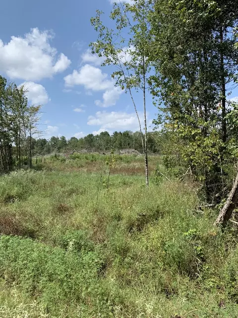 0001 Manning, Elysian Fields, TX 75642 photo 9