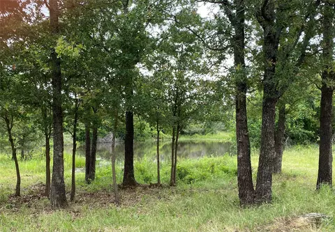 363 Buss West Rd, Loving, TX 76460