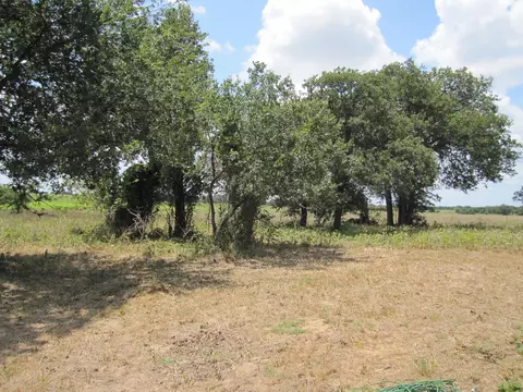 183 Ditto Rd, Sunset, TX 76270 photo 7