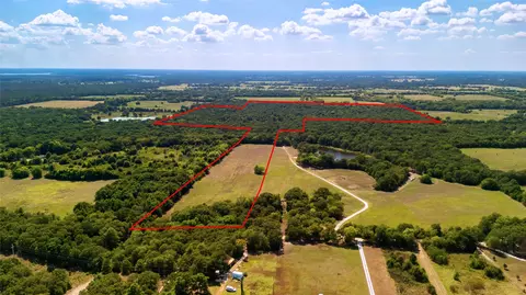 tbd 126 Acres County Road 1195, Yantis, TX 75497