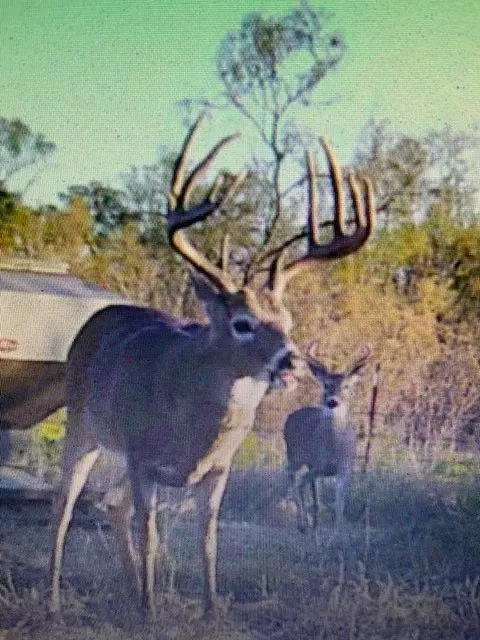 0 11497 Sec 134 Spry, No City, TX 79201