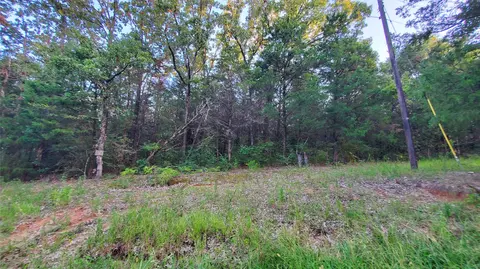 2919 County Rd #2938, Eustace, TX 75124 photo 26