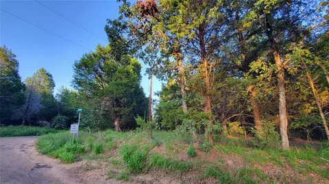 2919 County Rd #2938, Eustace, TX 75124 photo 9