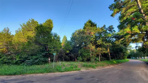 2919 County Rd #2938, Eustace, TX 75124 photo 4