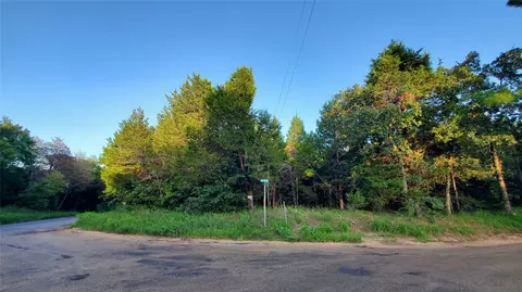2919 County Rd #2938, Eustace, TX 75124 photo 3