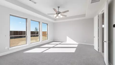 128 Tornillo Dr, Celina, TX 75009 photo 15