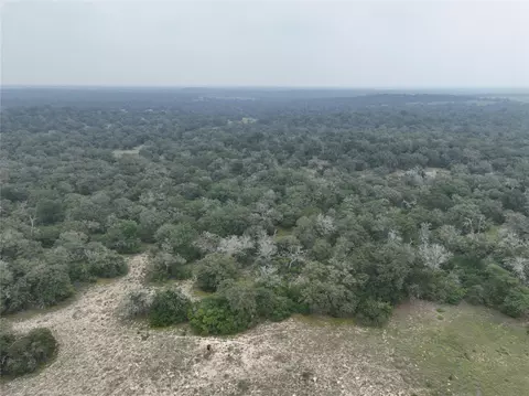 Tr 4 Nockenut Road, Seguin, TX 78155