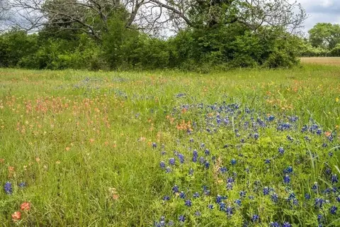 20727 Pickens Rd, Washington, TX 77880 photo 8