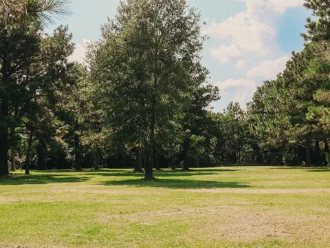 Other - 156 Stewart Rd, Hall Summit, LA 71034 photo 1 of 5