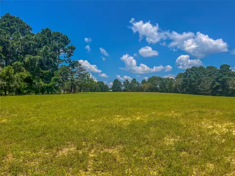 0 An County Road 1212, Grapeland, TX 75844