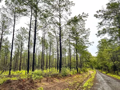 2 Cr 258, Jasper, TX 75951 photo 9