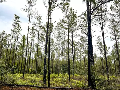 2 Cr 258, Jasper, TX 75951 photo 11