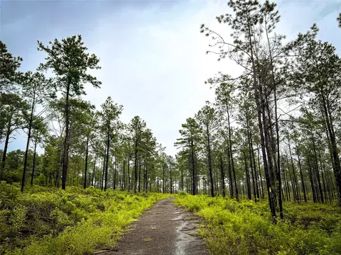 2 Cr 258, Jasper, TX 75951 photo 5