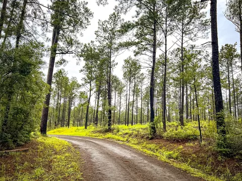 2 Cr 258, Jasper, TX 75951 photo 15