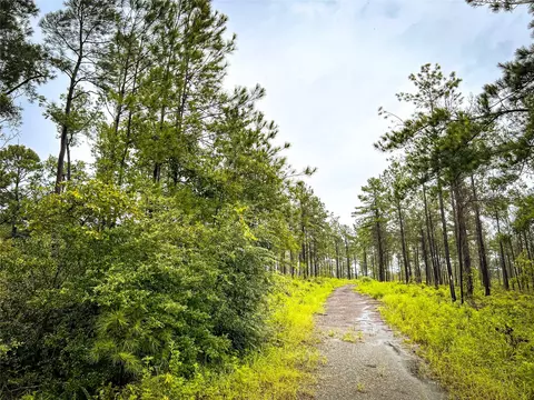 2 Cr 258, Jasper, TX 75951 photo 2