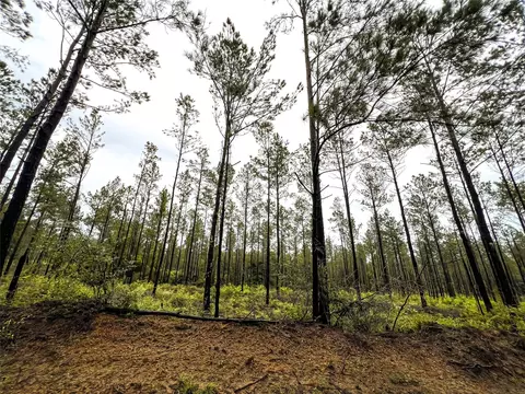 2 Cr 258, Jasper, TX 75951 photo 12