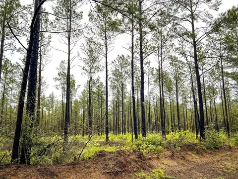 2 Cr 258, Jasper, TX 75951 photo 10