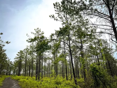 2 Cr 258, Jasper, TX 75951 photo 3