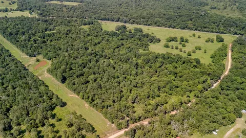 Tbd Tract 1 Fm 321, Tennessee Colony, TX 75861