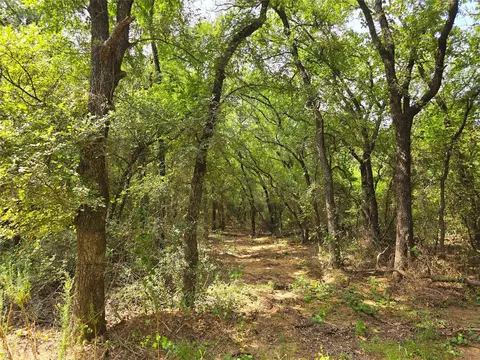 2404 E Fm 916, Cleburne, TX 76031 photo 4