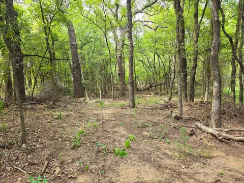 2404 E Fm 916, Cleburne, TX 76031 photo 6