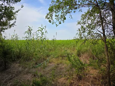 2404 E Fm 916, Cleburne, TX 76031 photo 8