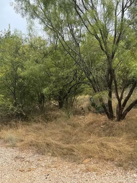201 NE 9th St, Mineral Wells, TX 76067