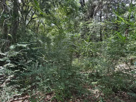 tbd Franklin St, Mount Vernon, TX 75493