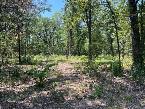 lot89 E Beachwood Loop, Trinidad, TX 75163