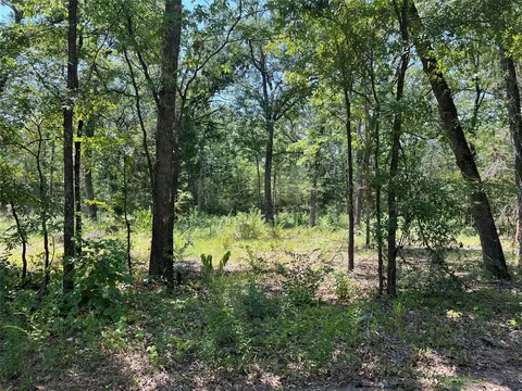lot90 E Beachwood Loop, Trinidad, TX 75163