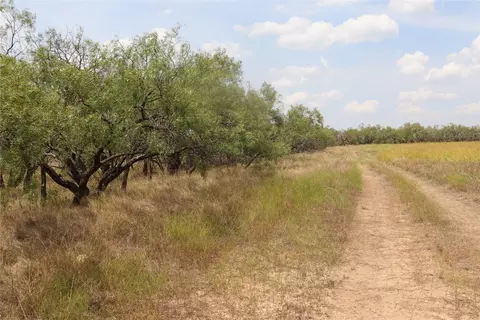 1666 Fm 703, Novice, TX 79538