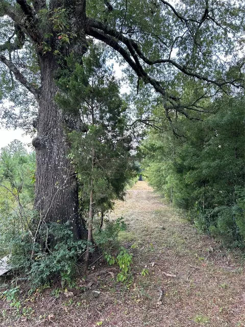 00 Highway 157 Hwy, Plain Dealing, LA 71064 photo 8