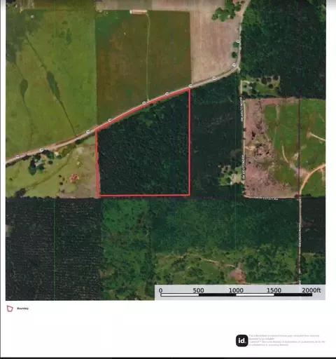 00 Highway 157 Hwy, Plain Dealing, LA 71064 photo 6