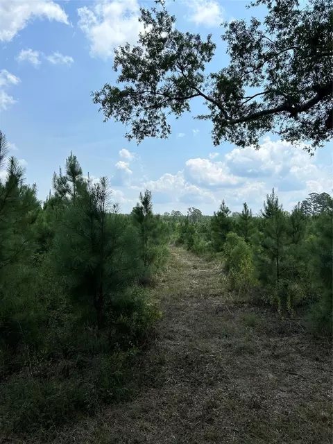 00 Highway 157 Hwy, Plain Dealing, LA 71064 photo 9