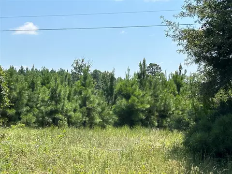 00 Highway 157 Hwy, Plain Dealing, LA 71064 photo 3