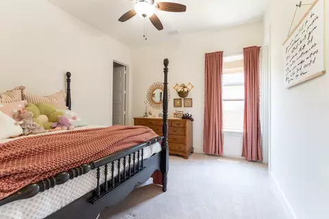 431 Centenary Dr, Prosper, TX 75078 photo 27