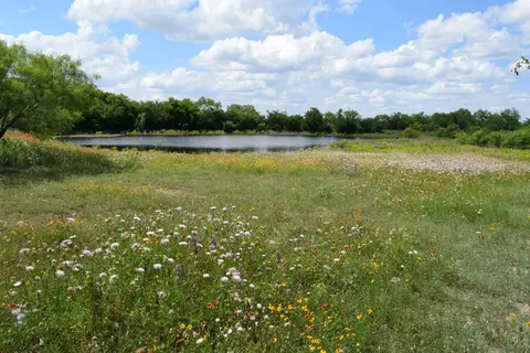 View/Area - 7280 County Road 170, Bangs, TX 76823 photo 11 of 11