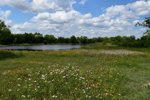 View/Area - 7280 County Road 170, Bangs, TX 76823 photo 3 of 11