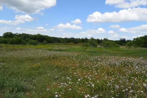 Other - 7280 County Road 170, Bangs, TX 76823 photo 6 of 6