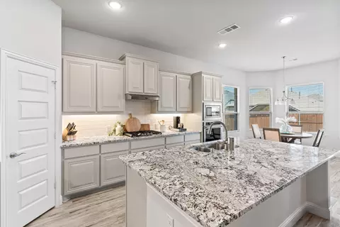 16625 Garden Dr, Celina, TX 75009 photo 8