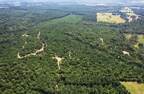 tbd County Road 3163, Laneville, TX 75667