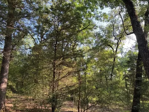 lot10 County Road 1429, Eustace, TX 75124