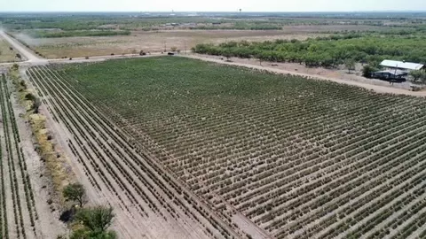 398 Bumpergate Rd, Abilene, TX 79603