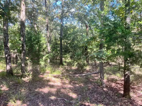 lot343 Fallow Run, Larue, TX 75770
