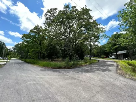 lot436 Diaz St, Payne Springs, TX 75156
