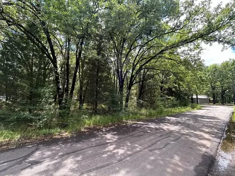 lot437 Diaz St, Payne Springs, TX 75156