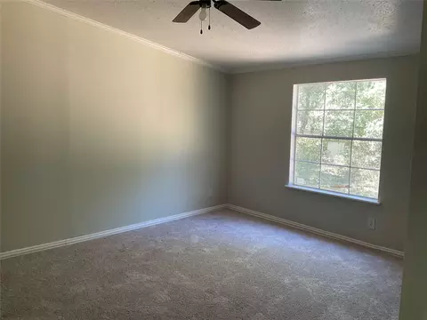 191 Dorflinger Ct, Boyd, TX 76023 photo 12
