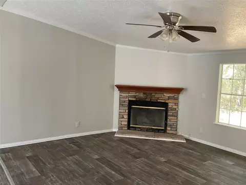 191 Dorflinger Ct, Boyd, TX 76023 photo 3