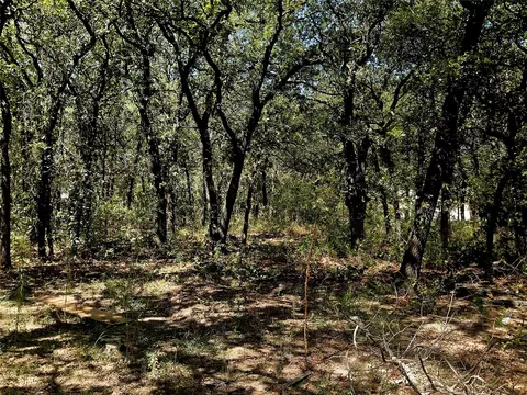 191 Dorflinger Ct, Boyd, TX 76023 photo 23