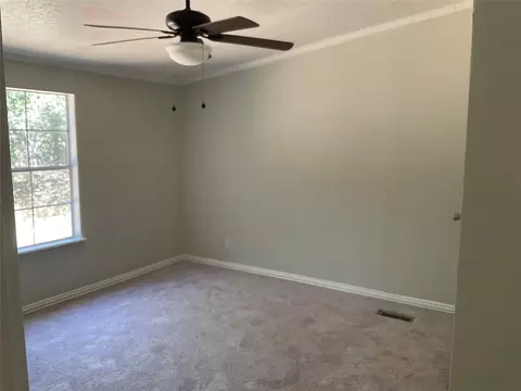 191 Dorflinger Ct, Boyd, TX 76023 photo 15